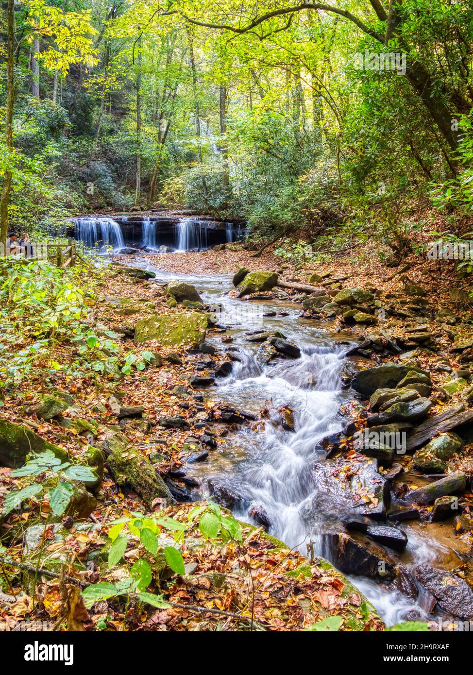 Fahren Sie in Pearsons Falls und Glen am North Carolina Highway. 176, zwischen den Städten Tryon und Saluda in North Carolina, USA Stockfoto