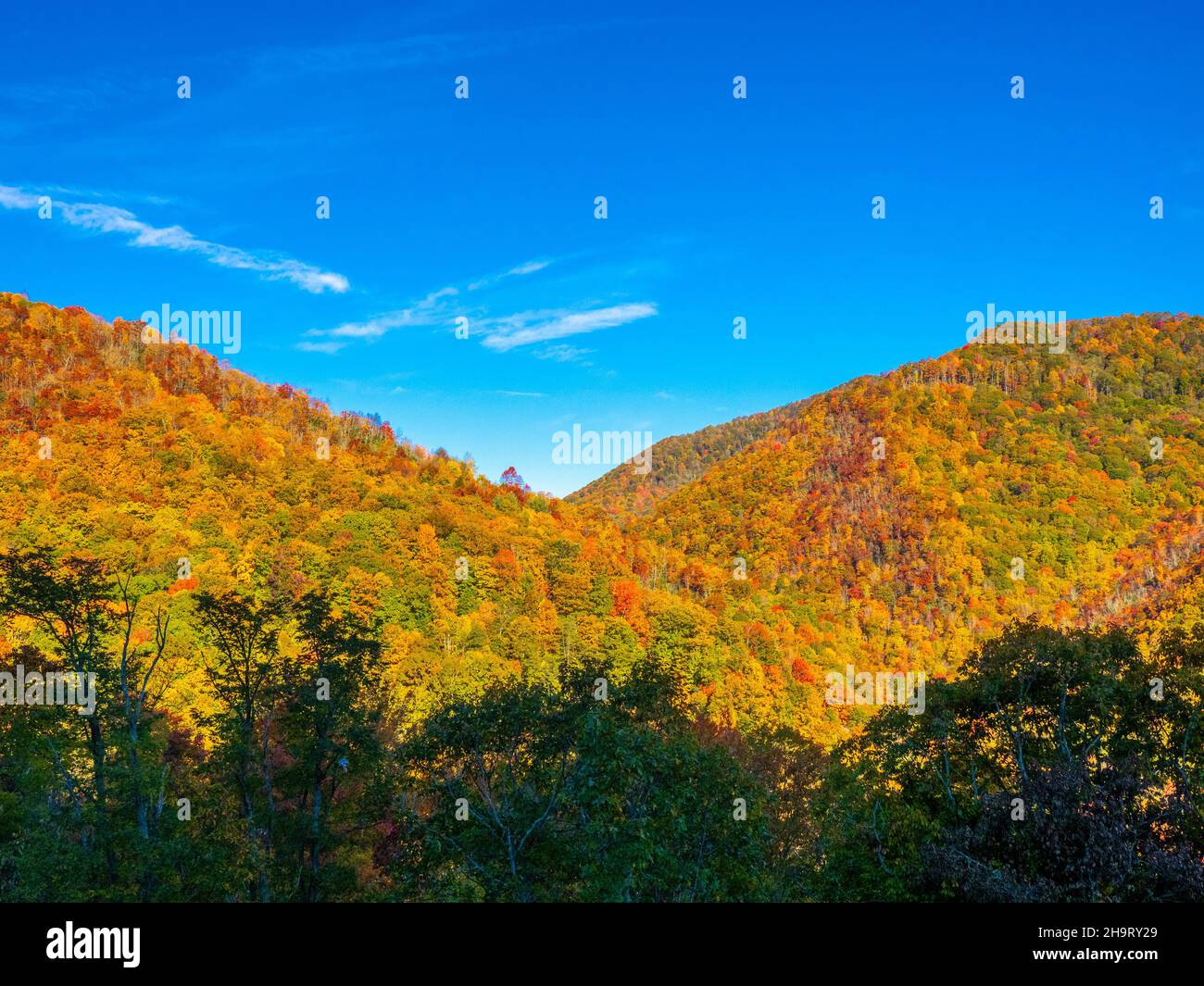 Herbstfarben in den Smoky Mountains entlang des Blue Ridge Parkway in North Carolina, USA Stockfoto