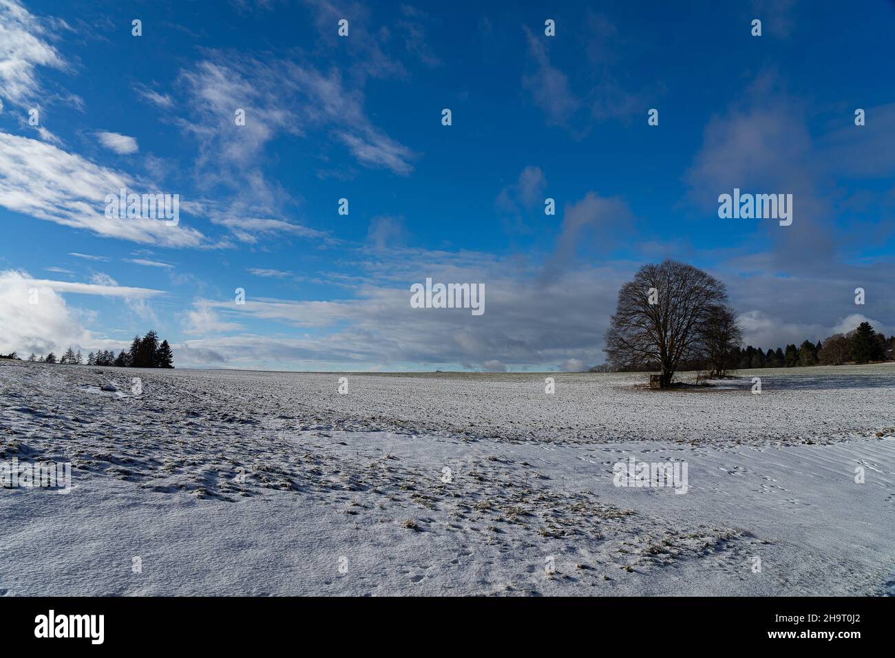 Blick auf ein schneebedecktes Feld im Winter bei strahlendem Sonnenschein mit blauem Himmel Stockfoto