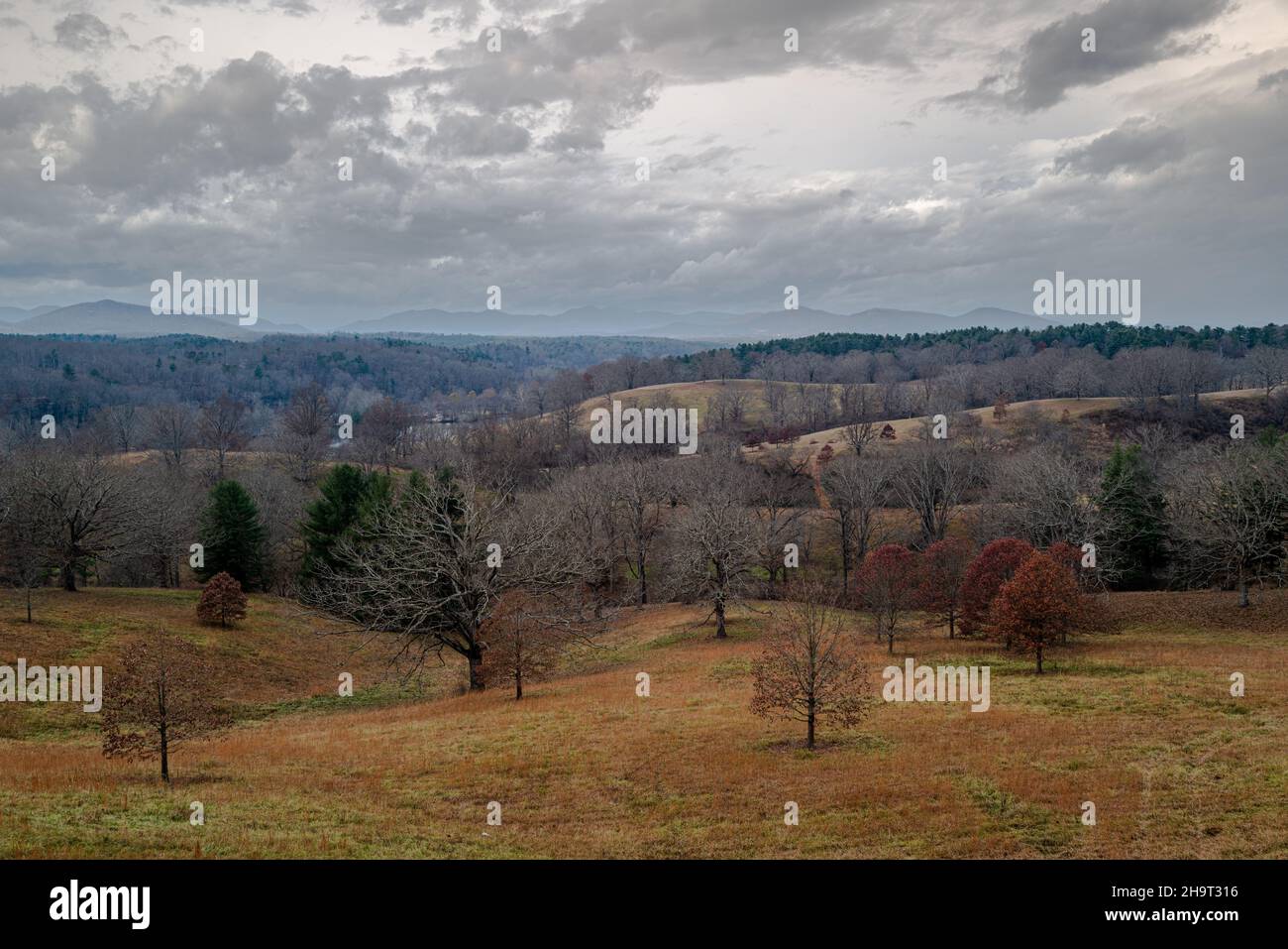 Ein malerisches Weitwinkelfoto von sanften Hügeln unter bedrohlichem Himmel mit den Blue Ridge Mountains im Hintergrund. Stockfoto
