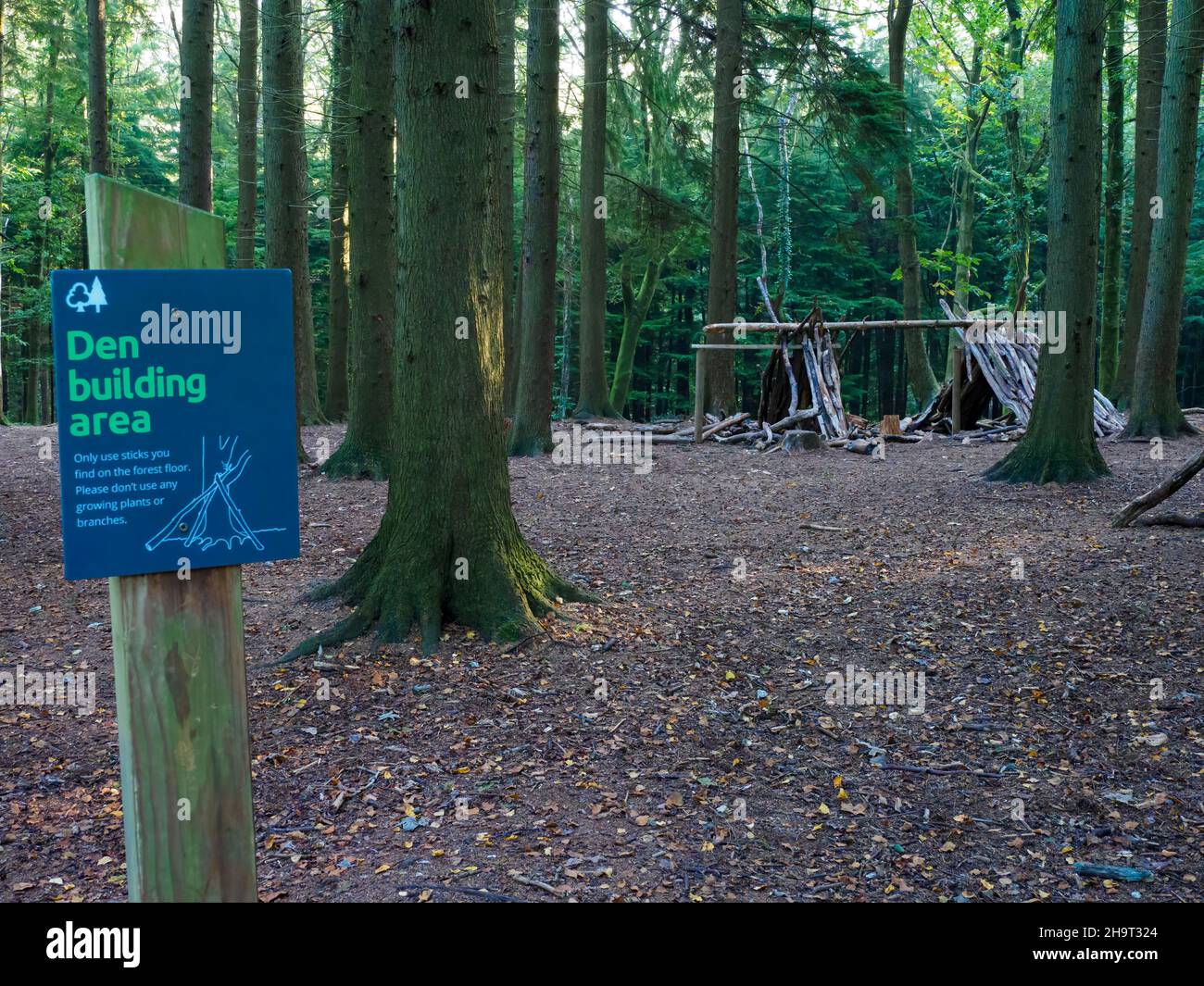 Den Building Area, Forest of Bere, Fareham, Hampshire, Großbritannien Stockfoto