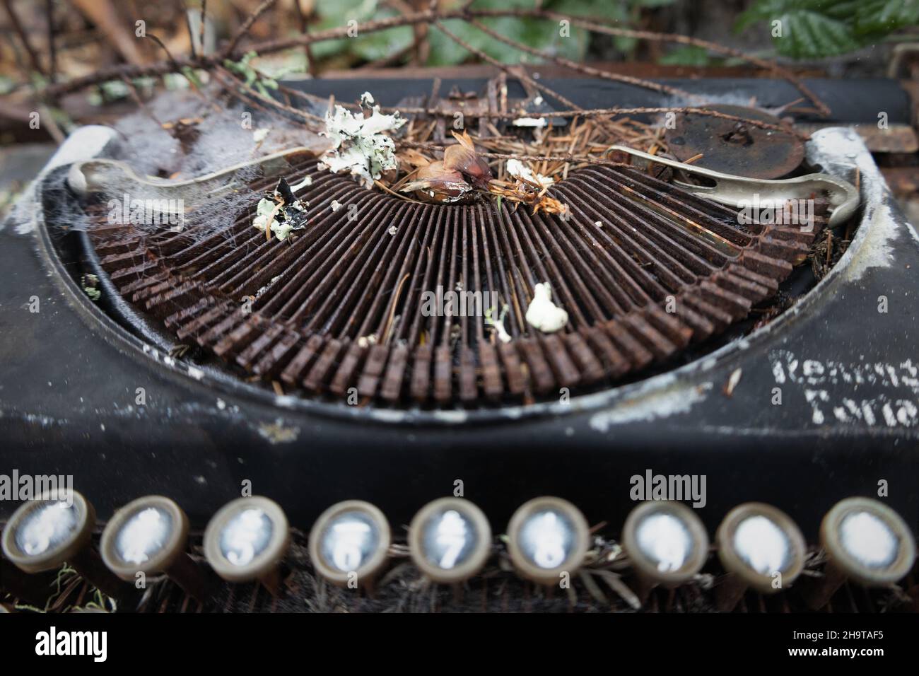 Eine alte manuelle Schreibmaschine verließ das Gelände und war mit Blättern und Spinnweben bedeckt. Stockfoto