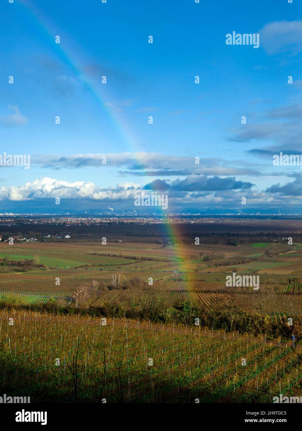 Rheintal bei Mannheim mit Regenbogen Stockfoto