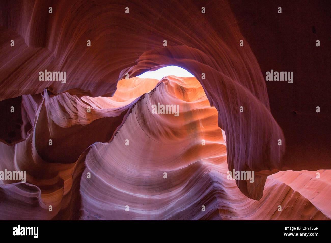 Page, Arizona, USA. Die farbenfrohen Sandsteinwände des Lower Antelope Canyon aus Navajo-Sandstein wurden vom Wasser zu abstrakten Mustern geformt. Stockfoto