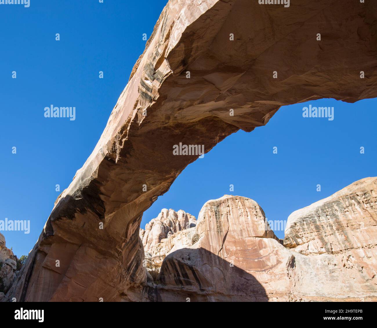 Fruita, Capitol Reef National Park, Utah, USA. Blick auf die Hickman Bridge vom Hickman Bridge Trail am Fuße des Waterpocket Fold. Stockfoto