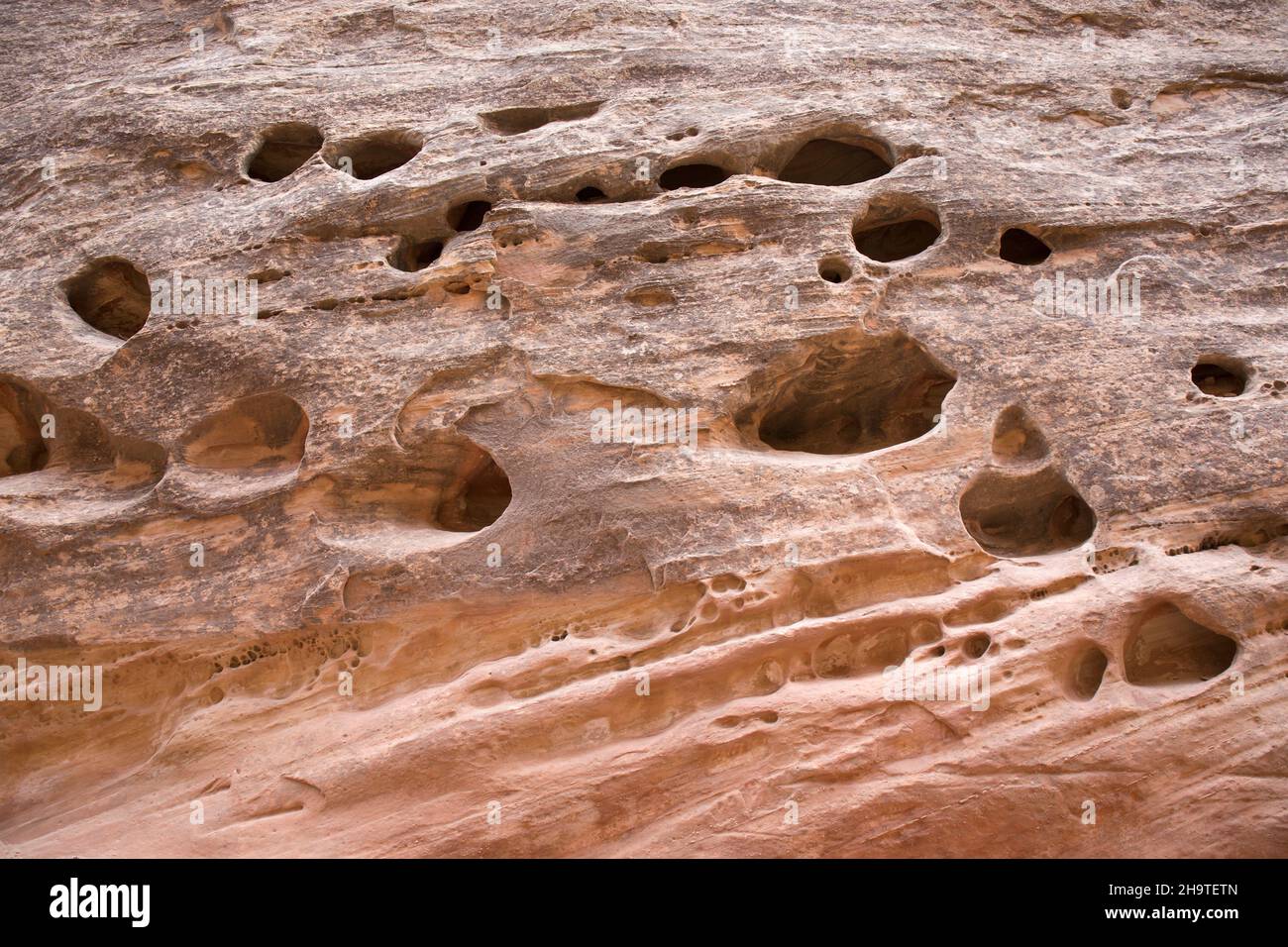 Fruita, Capitol Reef National Park, Utah, USA. Blick vom Capitol Gorge Trail auf typische Wassertaschen in der steilen Canyon-Wand. Stockfoto