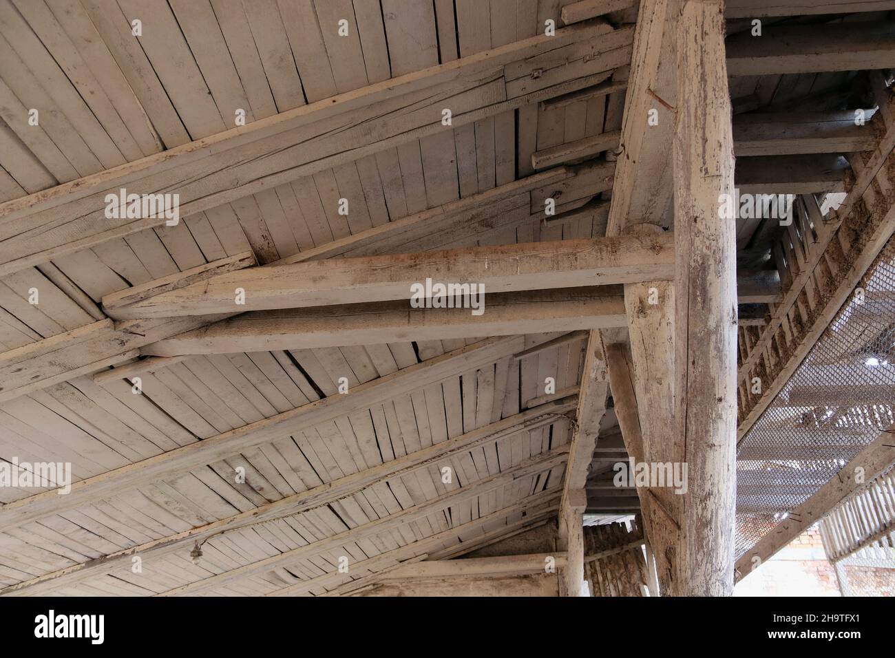 Holzdach auf einer Hühnerfarm. Hühner züchten. Stockfoto