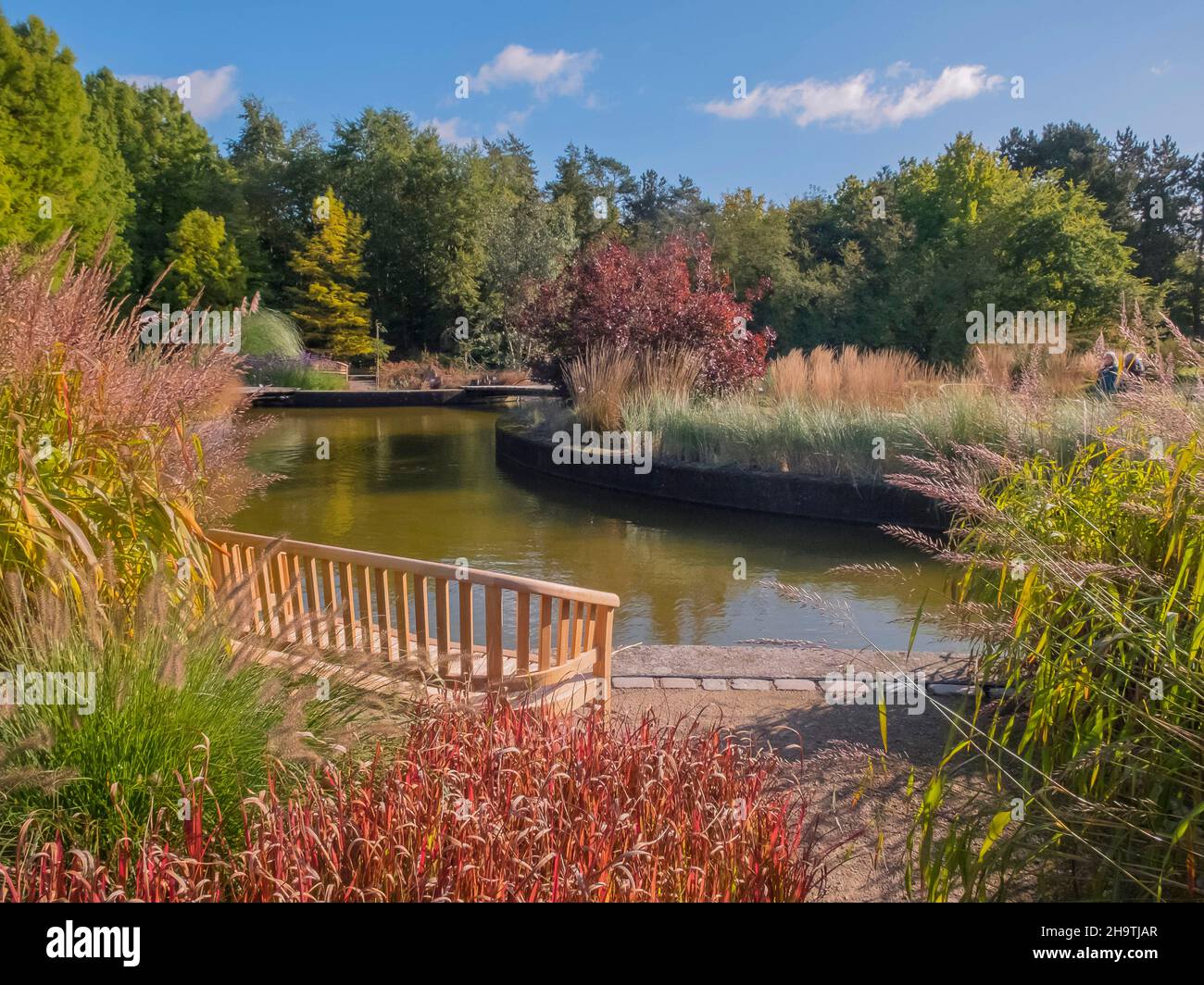 Herbst im Botanischen Garten Loki Schmidt, Deutschland, Hamburg Stockfoto