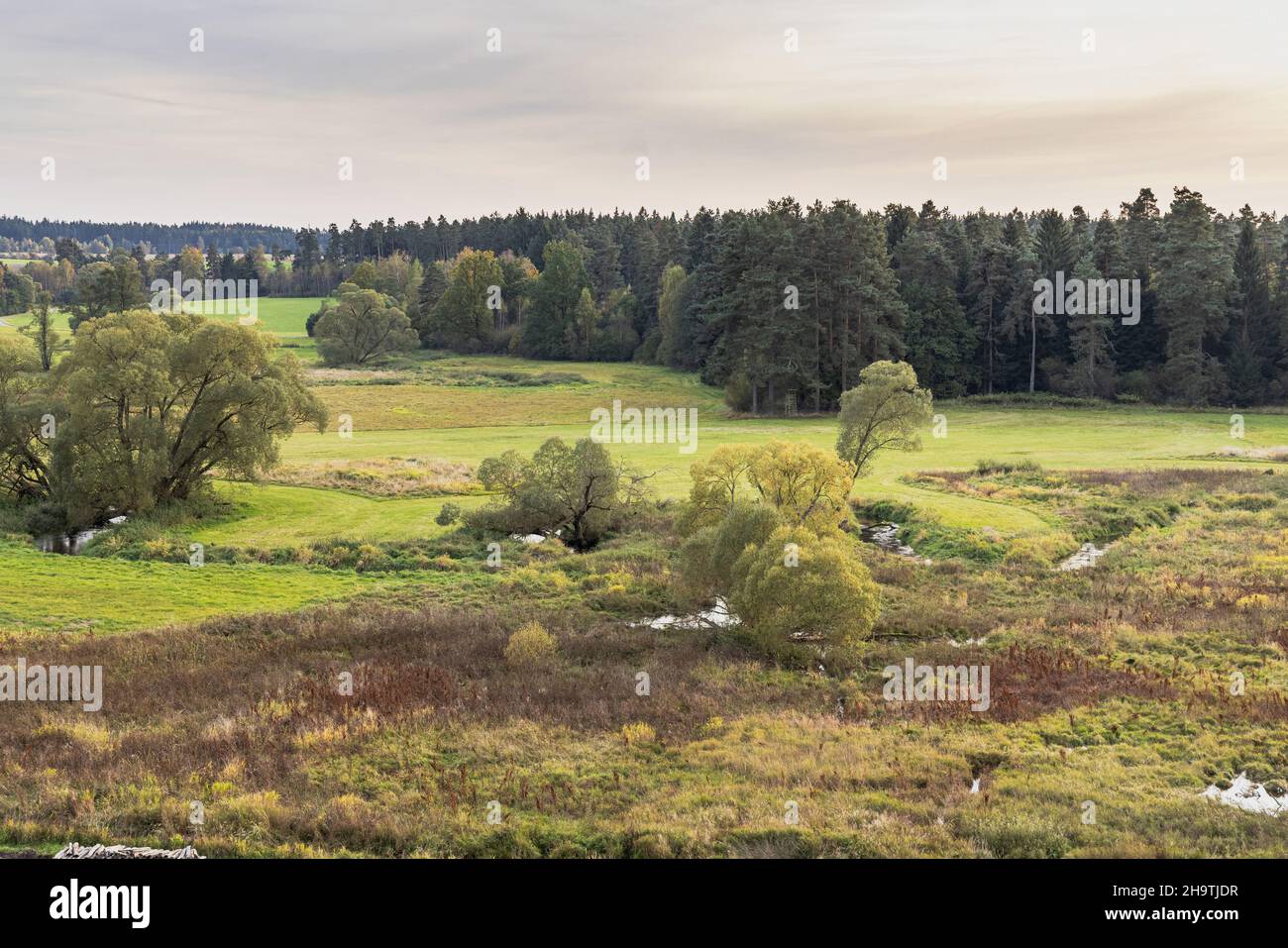 Blick auf das Naturschutzgebiet Waldnaabaue von Himmelsleiter, Deutschland, Bayern, Oberpfalz, Naturschutzgebiet Waldnaabaue Stockfoto