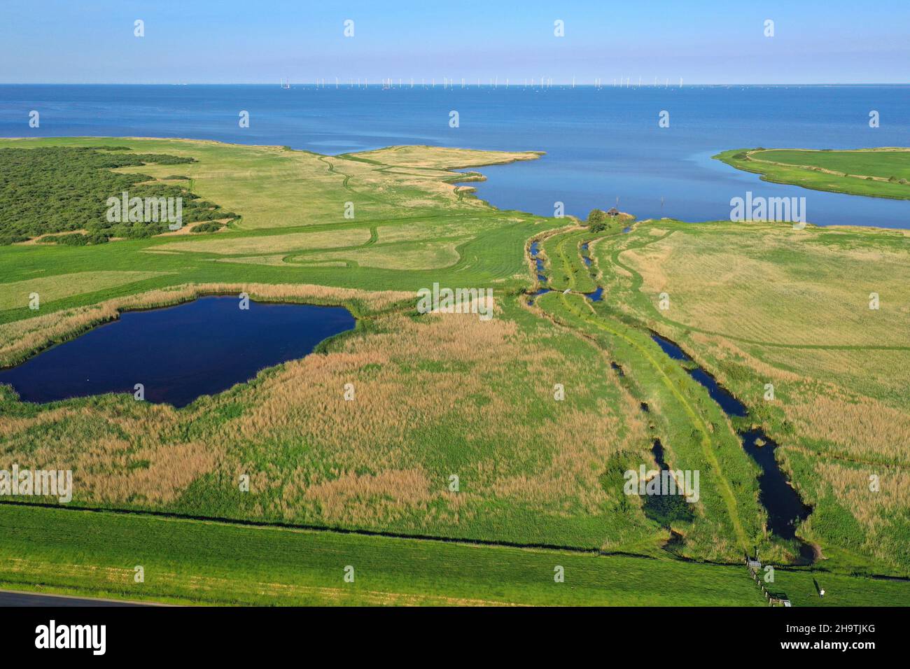 Ufer des Ijsselmeers bei Piaam, Kooiwaard mit Fell, Niederlande, Friesland Stockfoto