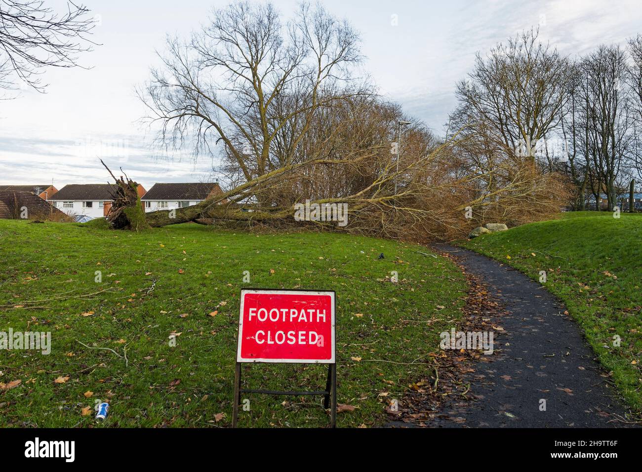 Der Sturm Arwen traf Großbritannien am 26th. November 2021 und verursachte weitreichende Schäden und Stromausfälle. Stockfoto