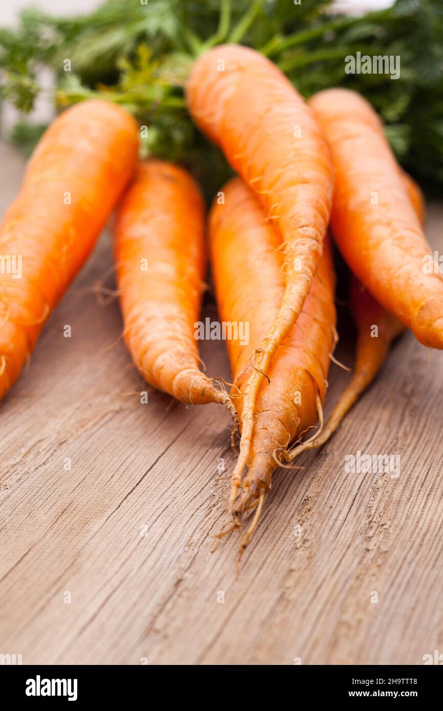 Karotten, Karotten, Kohl, Grüns, liegen, Vorne, hinten, Running, close, Green, Orange, Gemüse, Wurzeln, einige, Spitze, Schön, natürlich, nur, org Stockfoto