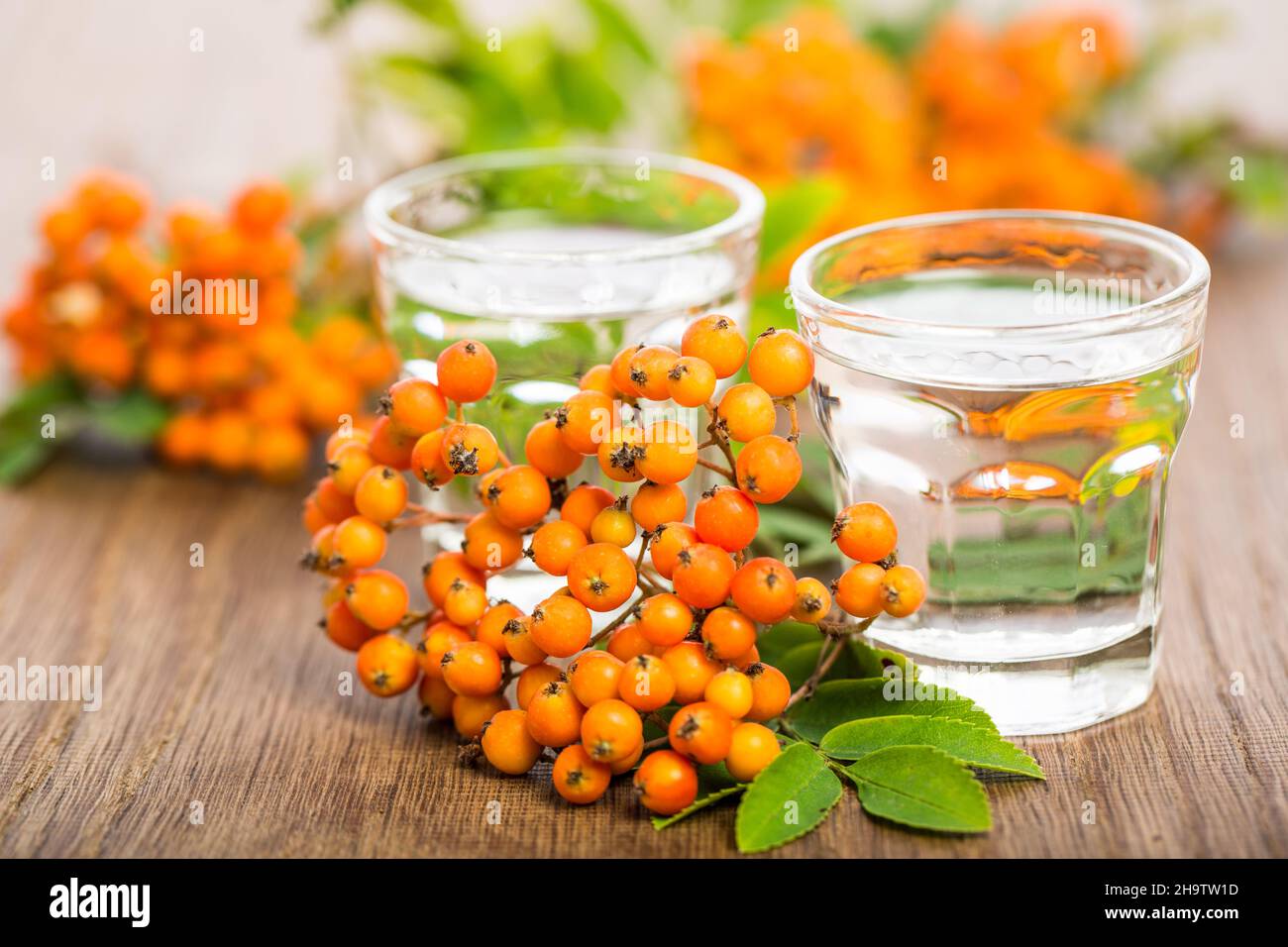 Brandy, Schnaps, Eberesche, Schnapsglas, Beeren, beere, Getränke, Alkohol, Spirituosen, Schnapsgläser, Geister, Blätter, Blatt, Holz, hell, Echt, Taverne, Au Stockfoto