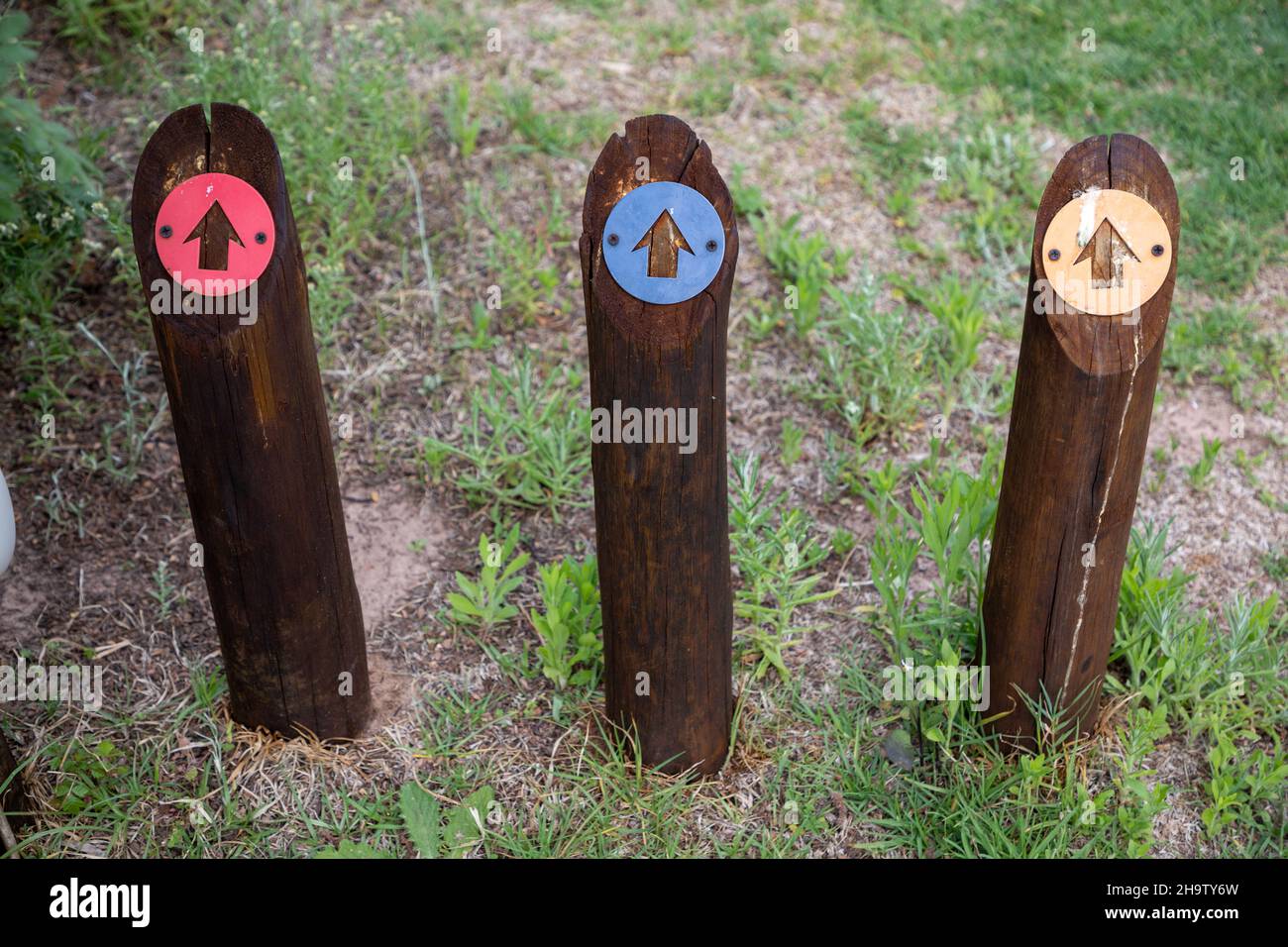 Drei Holzpfosten mit Pfeilen nach vorne. Die Pfeile sind rot-blau und gelb Stockfoto
