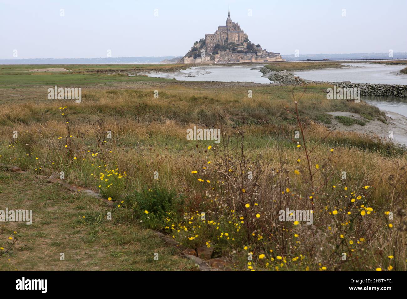 Wanderweg entlang des Flusses Le Couesnon - Mont-Saint-Michel - Manche - Normandie - Frankreich Stockfoto