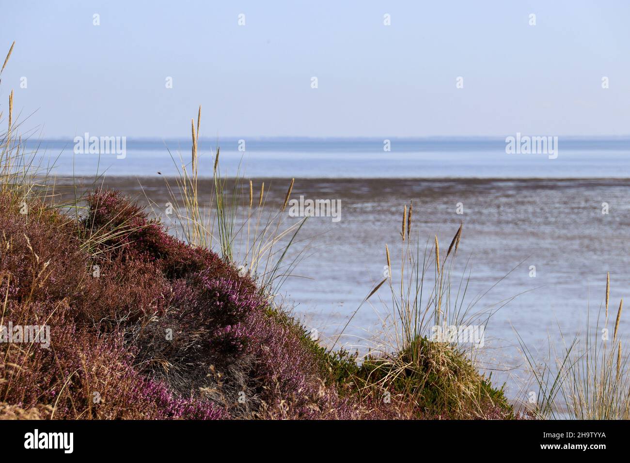 Sylt - eine wunderschöne Insel in Deutschland Stockfoto