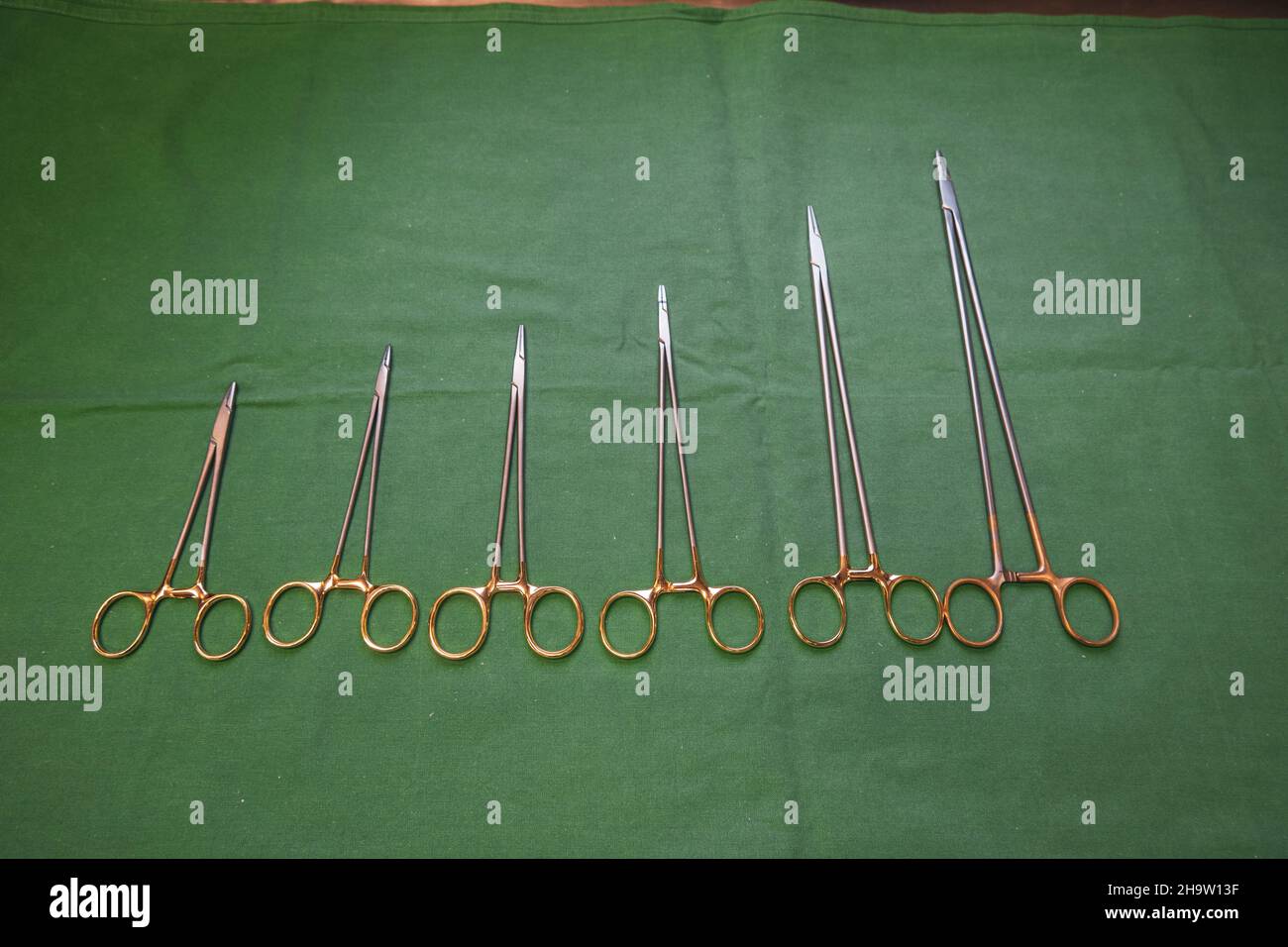 Chirurgische Nadelhalter unterschiedlicher Größe liegen nebeneinander auf einer grünen Basis Stockfoto