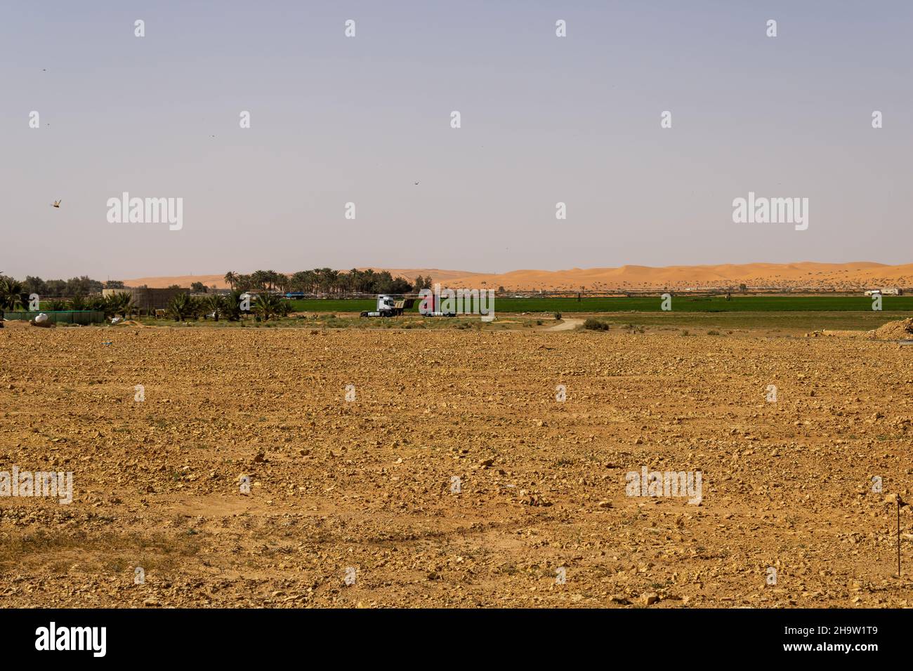 Eine landwirtschaftliche Farm in der Nähe von Marat, Saudi-Arabien Stockfoto