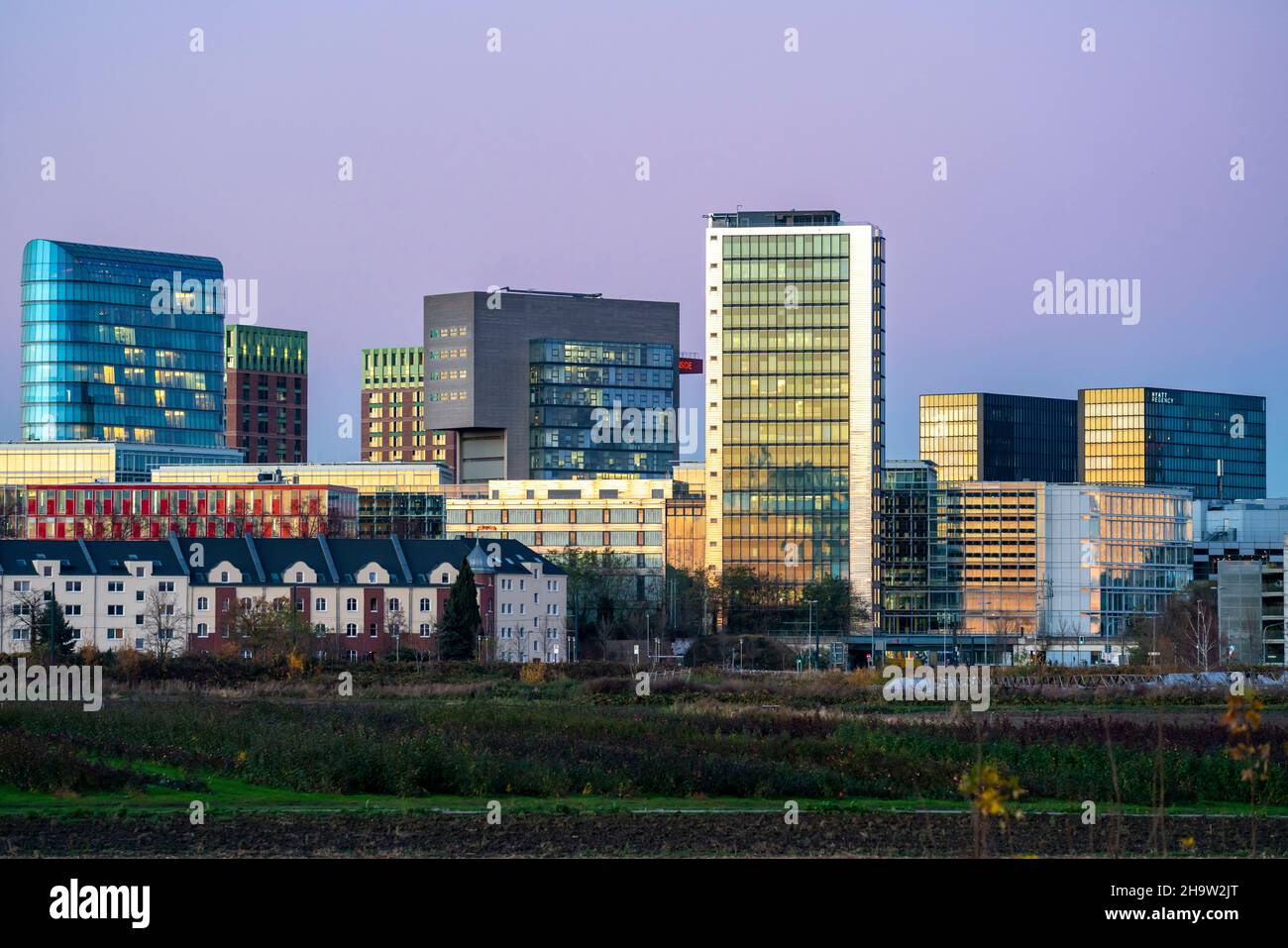 Skyline von Häusern im Medienhafen, davor Wohnhäuser im Stadtteil Hamm, Düsseldorf, NRW, Deutschland Stockfoto