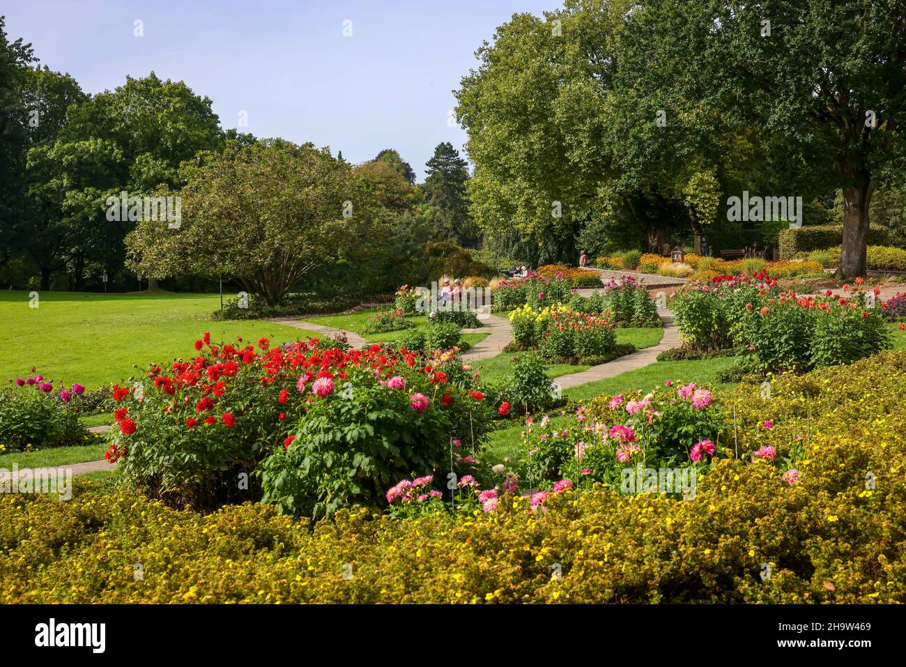 '21.09.2021, Deutschland, Nordrhein-Westfalen, Essen - der Grugapark in Essen entstand aus der ersten großen Ruhrgartenausstellung 192 Stockfoto