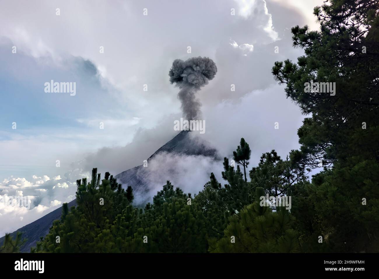 Vulkan Fuego, der ausbricht, Blick von Acatenango, Antigua, Guatemala Stockfoto