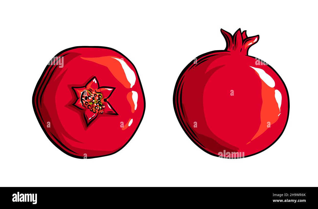 Granatapfelfrucht, Seitenansicht und Draufsicht. Farbige exotische Granatapfelfrucht. Vektorgrafik isoliert auf weißem Hintergrund Stock Vektor