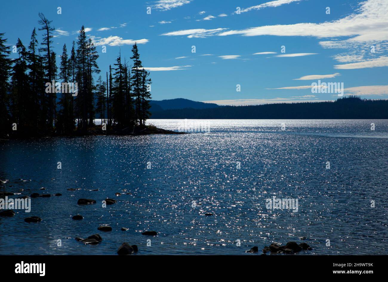 Waldo Lake Silhouette vom Shoreline Trail, Waldo Lake State Scenic Waterway, Willamette National Forest, Oregon Stockfoto