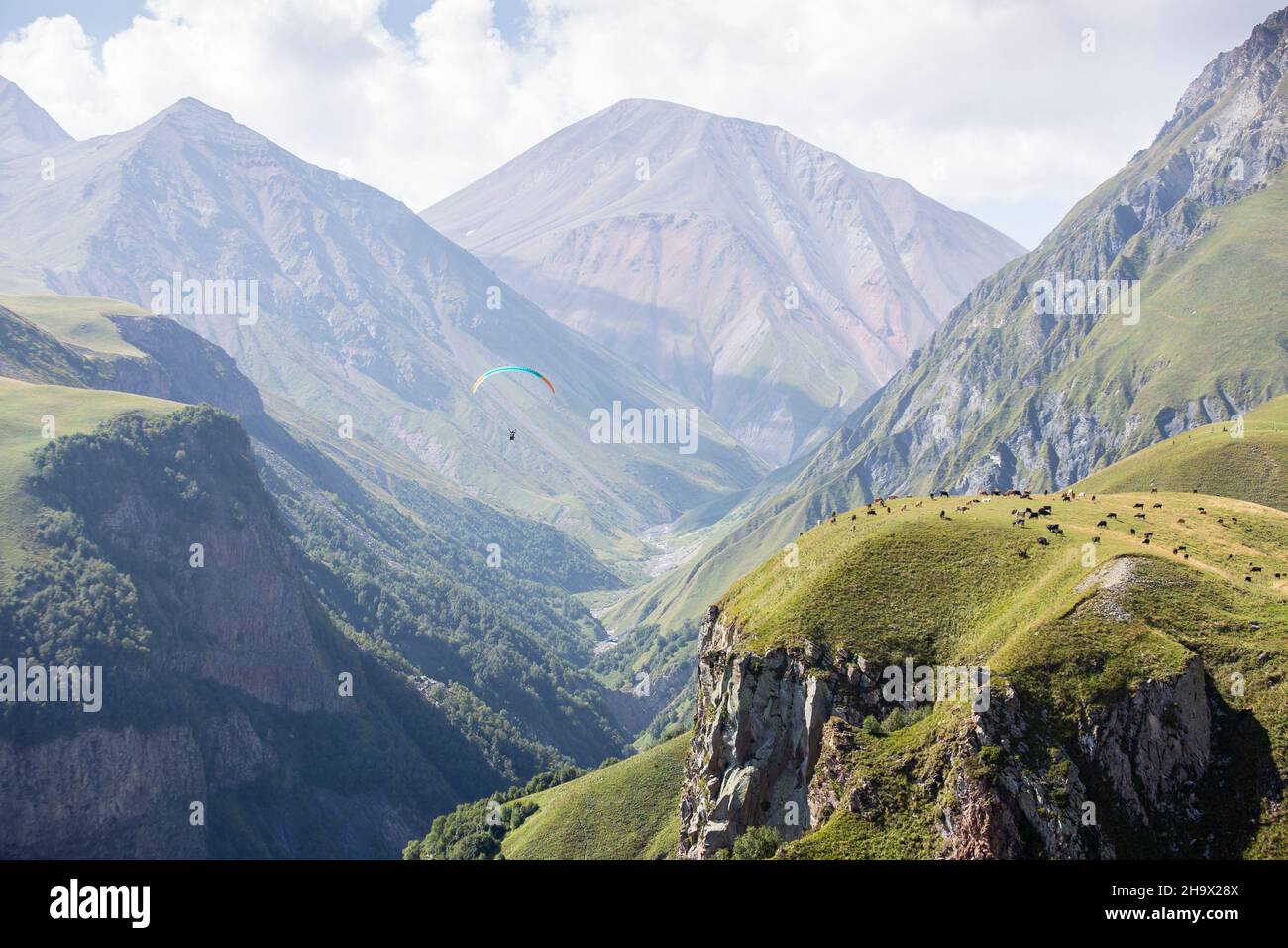 Menschen mit einem Gleitschirm fliegen über eine Bergschlucht, an deren Grund ein Fluss fließt. Eine Herde Kühe grast auf einer Almwiese. Sonniges Wetter mit Stockfoto