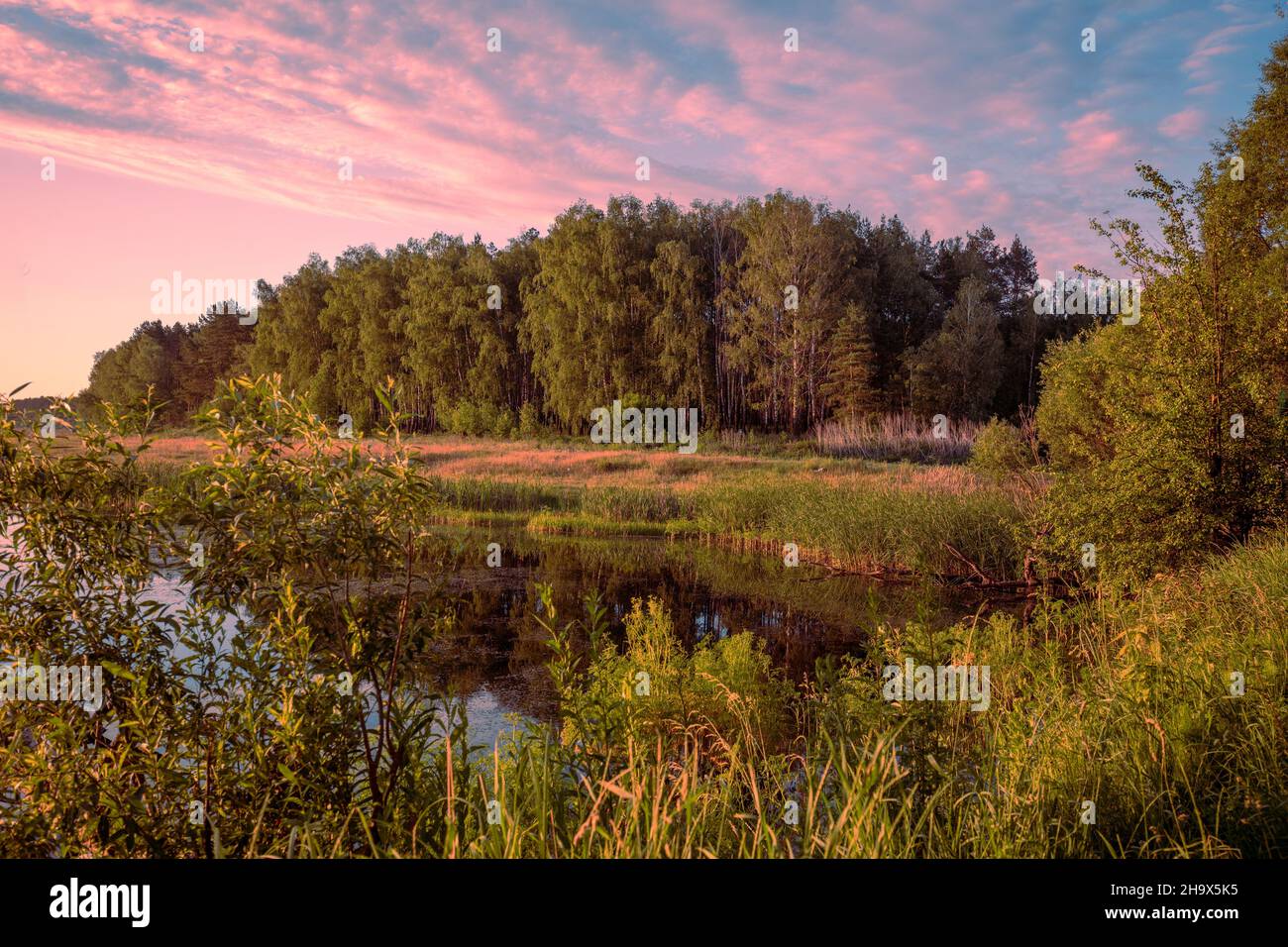 Am frühen Morgen. Sonnenaufgang über dem See. Sommer ländliche Landschaft Stockfoto