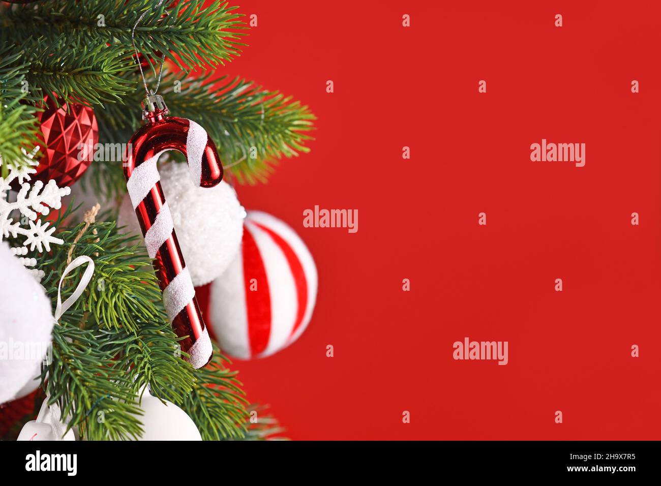 Zuckerrohr Weihnachtsbaum Ornament hängt von Zweig vor rotem Hintergrund Stockfoto