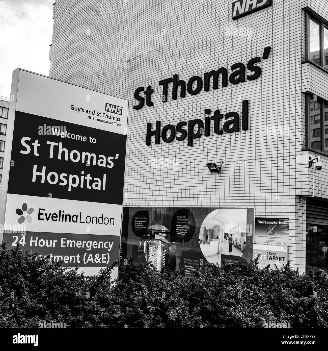 Central London, Großbritannien, November 21 2021, St. Thomas’ NHS London Teaching Hospital Stockfoto