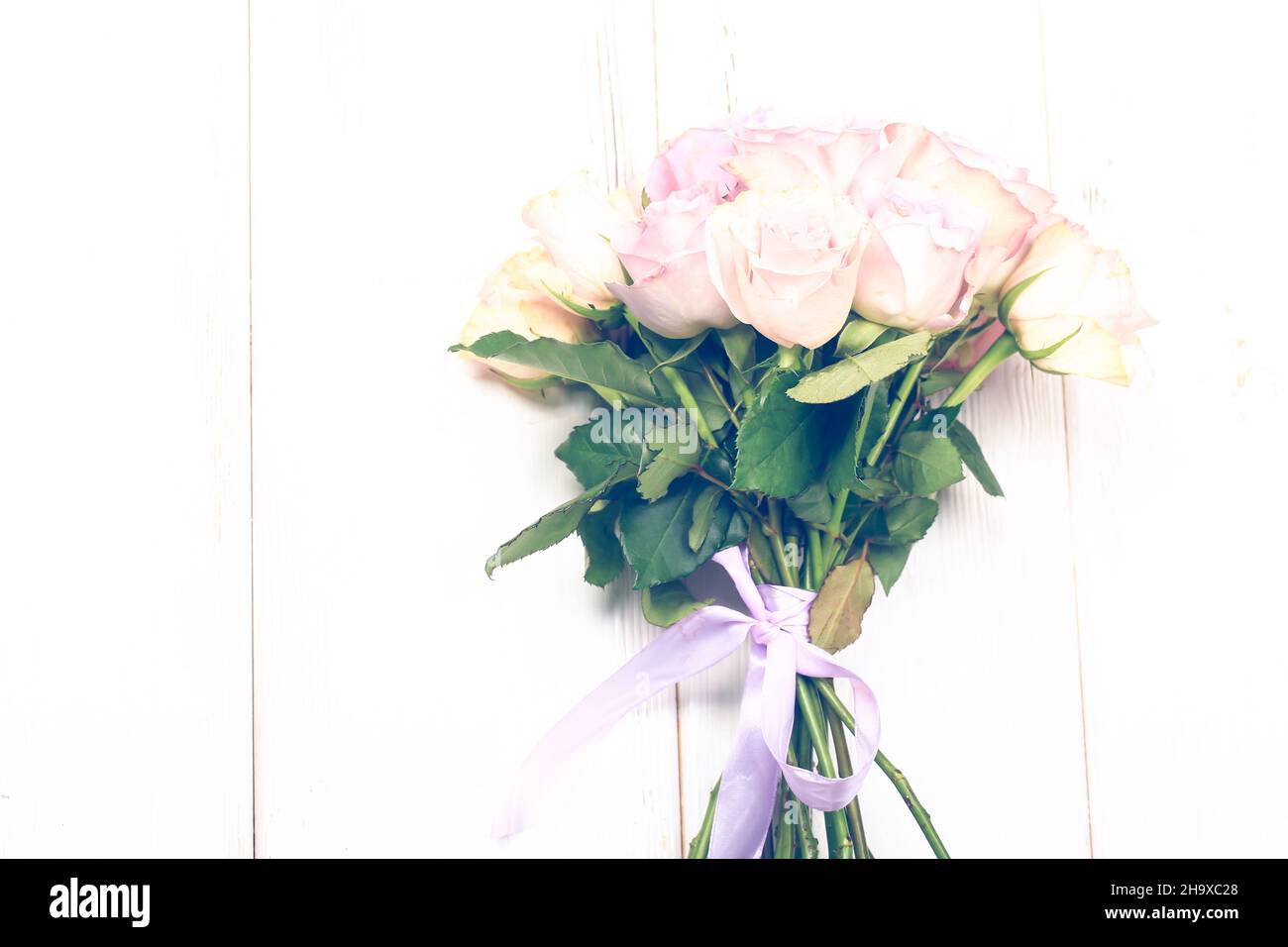 Bouquet von rosa Rosen isoliert auf hellem Hintergrund Stockfoto