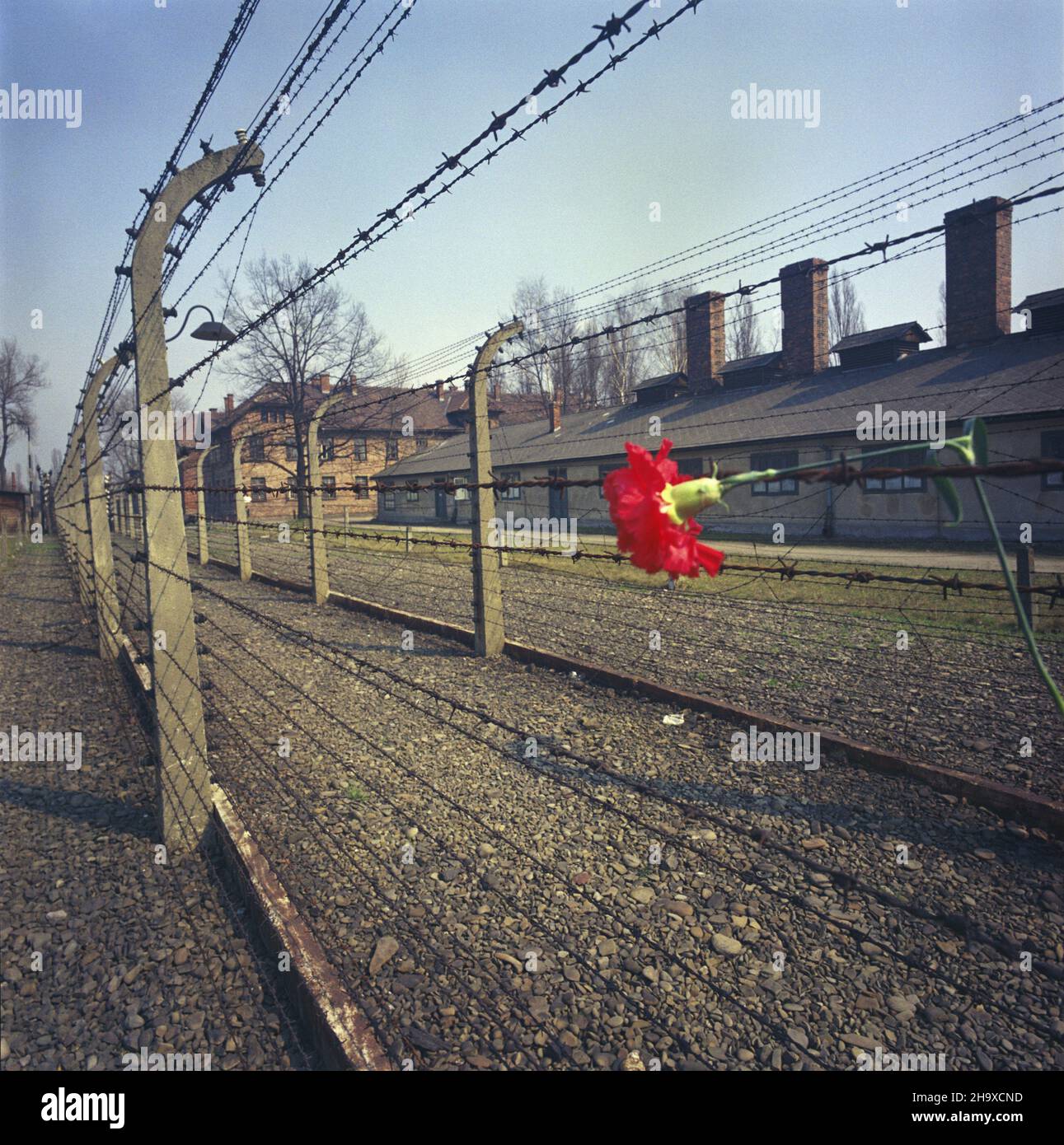 Oboz koncentracyjny ooewiecim brzezinka Fotos und Bildmaterial in