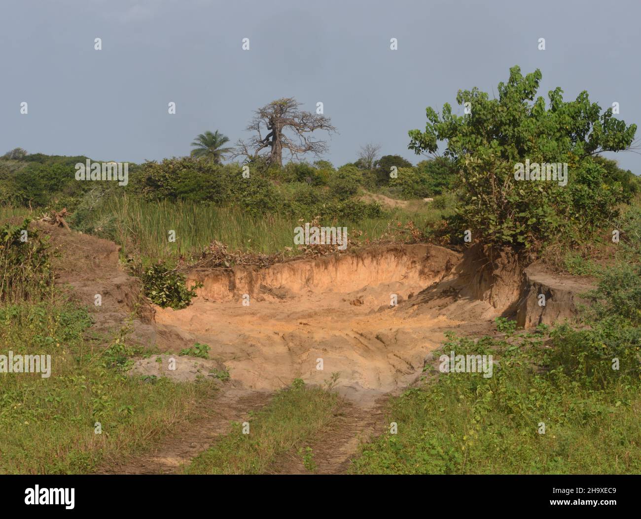 Unkontrollierte Sandentfernung schädigt ökologisch wertvolle Sanddünen, die für Zugvögel wichtig sind, zwischen Kartong und dem Atlantischen Ozean. Kartong Stockfoto