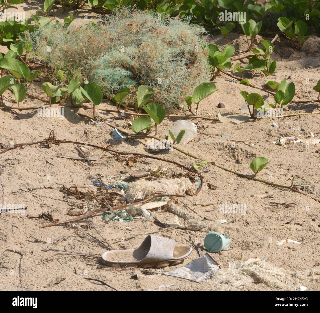 Plastikmüll, der Großteil davon weggeworfen oder verlorenes Fanggerät, liegt am Strand der Atlantikküste. . Kartong, Republik Gambia Stockfoto