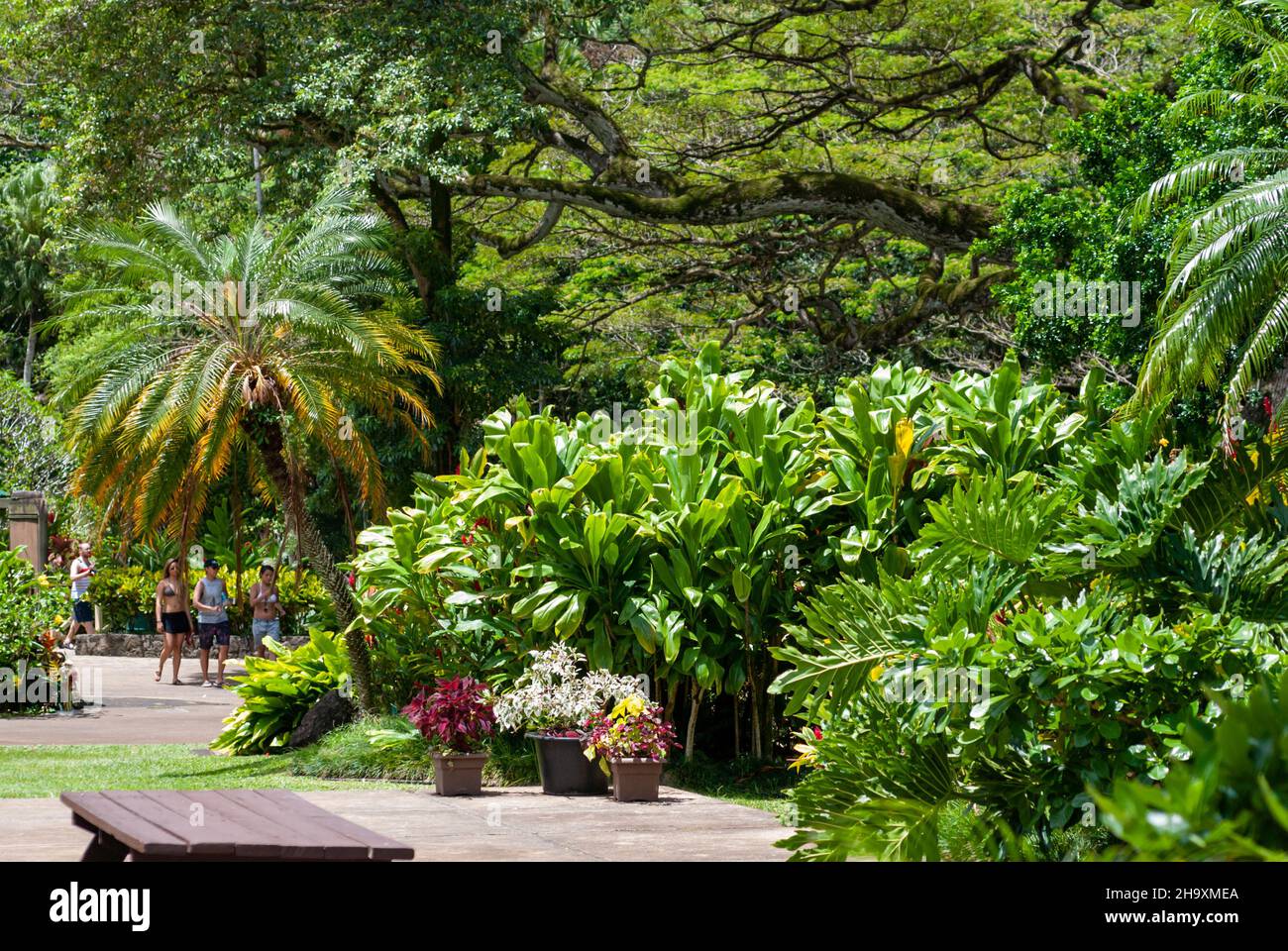 Oahu, Hawaii - 02. Mai 2015: Ruhestätte in einem öffentlichen Gartenbaugarten auf Hawaii Stockfoto