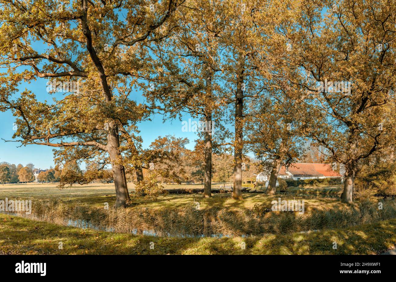 Anwesen namens Huis te Vogelenzang Stockfoto