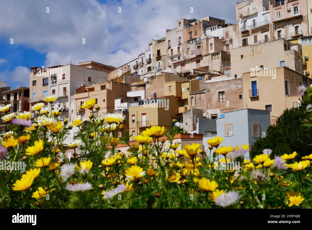 Panoramablick auf Sciacca mit gelben Wildblumen. Sizilien, Italien. Stockfoto