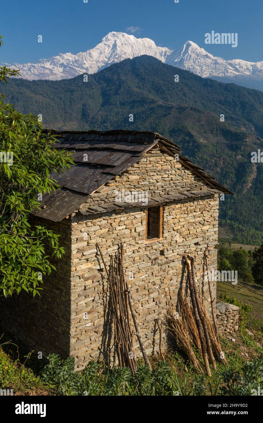 Ein traditionelles nepalesisches Bauernhaus aus Stein mit einem Schiefer-Ziegeldach im Himalaya-Vorgebirgsdorf Dhampus, Nepal. Im Hintergrund ist Annapu Stockfoto