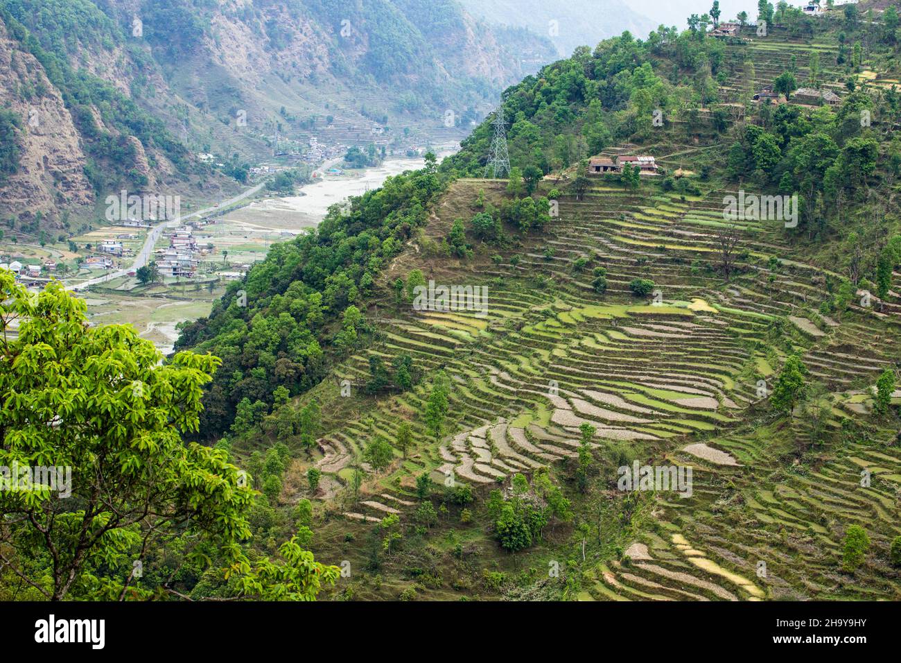 Reisterrassen am steilen Hang unterhalb des Himalaya-Vorgebirges Dhampus, Nepal. Unten befindet sich das Tal des Seti Gandaki River. Stockfoto