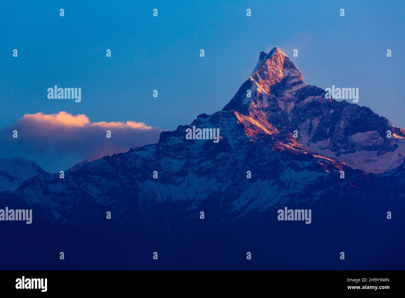 Erstes Licht auf Machhapuchare, Höhe 6993 m oder 22.943 ft, in der Annapurna Range des Himalaya. Nepal. Stockfoto