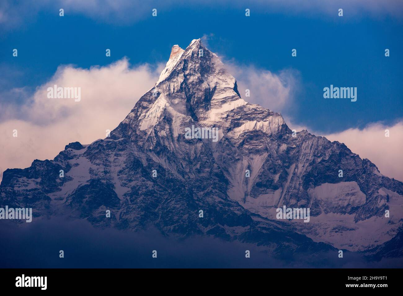 Machhapuchare, Höhe 6993 m oder 22.943 ft, über den Wolken im Annapurna-Gebirge des Himalaya. Nepal. Stockfoto