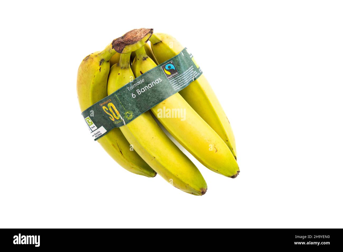 Bananen - Bund von 6 Bio-Fairtrade-Bananen mit Papier recyclebare  Verpackung - UK Stockfotografie - Alamy