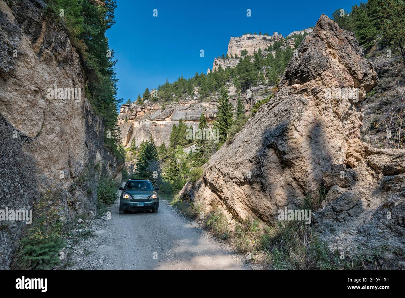 SUV im Crazy Woman Canyon, Bighorn National Forest, in der Nähe von Buffalo, Wyoming, USA Stockfoto