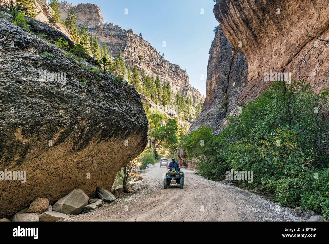 Crazy Woman Canyon, Bighorn National Forest, in der Nähe von Buffalo, Wyoming, USA Stockfoto