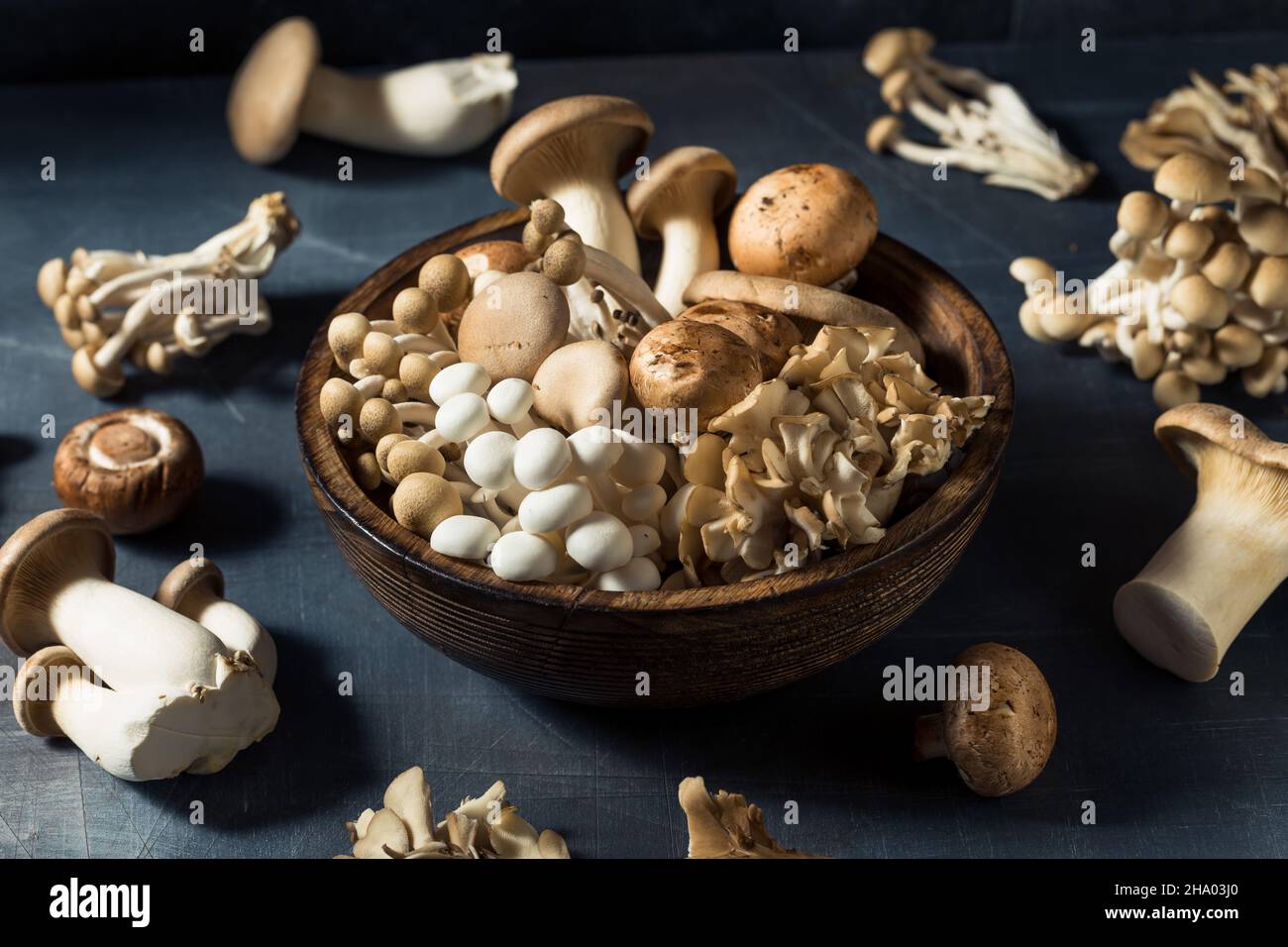 Rohpilze aus biologischem Anbau mit Trompetenchampignon und Auster Stockfoto