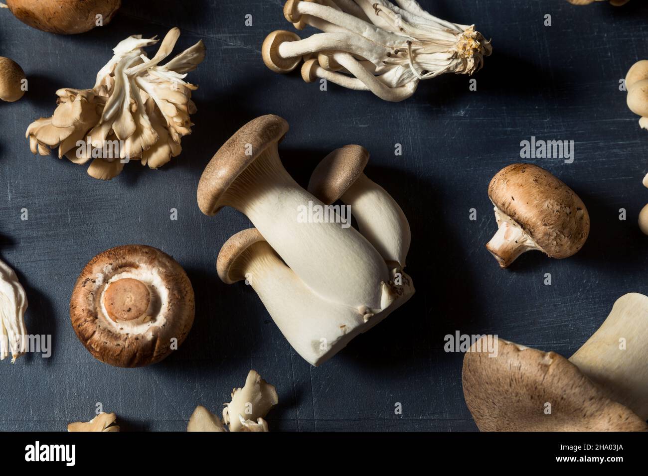 Rohpilze aus biologischem Anbau mit Trompetenchampignon und Auster Stockfoto