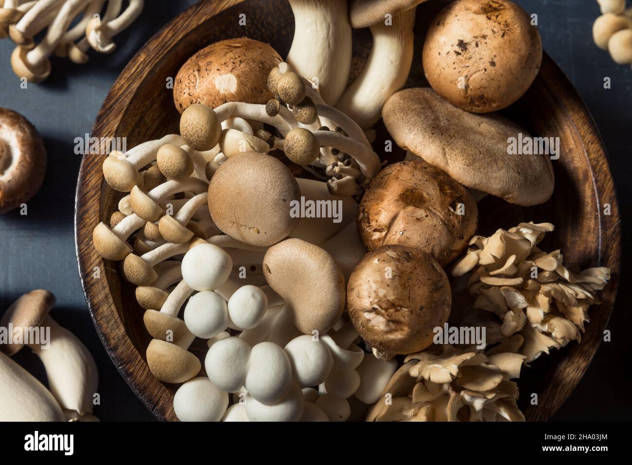 Rohpilze aus biologischem Anbau mit Trompetenchampignon und Auster Stockfoto