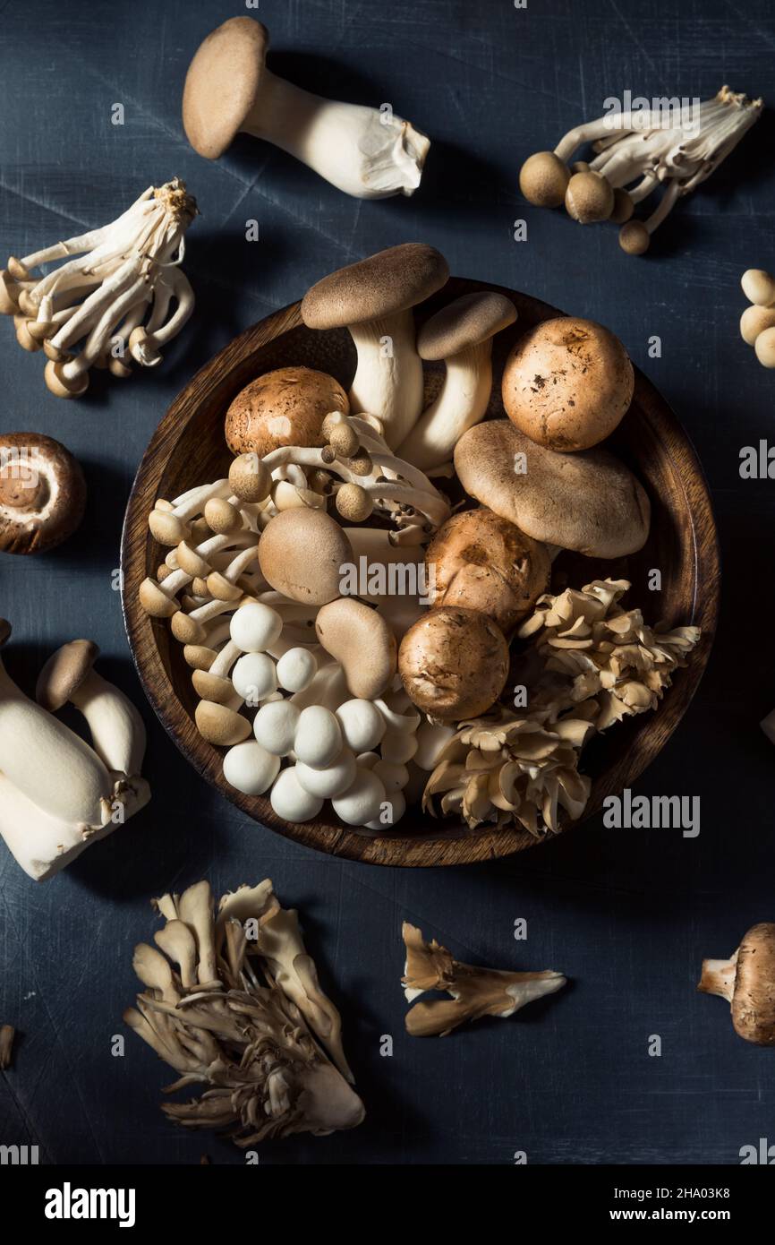 Rohpilze aus biologischem Anbau mit Trompetenchampignon und Auster Stockfoto