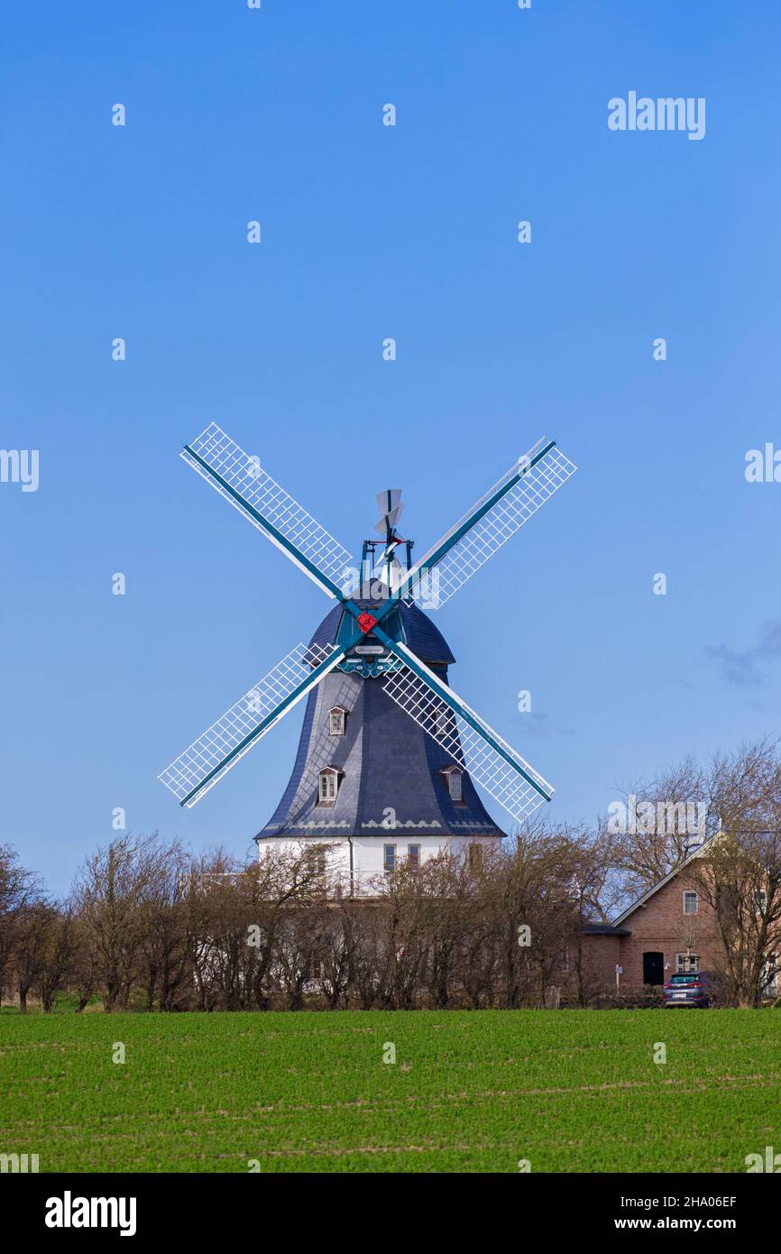 Windmühle in Borgsum auf der Insel Föhr im Kreis Nordfriesland / Nordfriesland, Schleswig-Holstein, Deutschland Stockfoto
